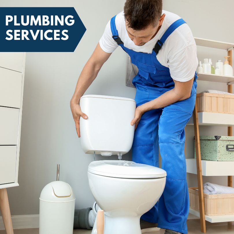 Plumbing Company in Dexter, IA